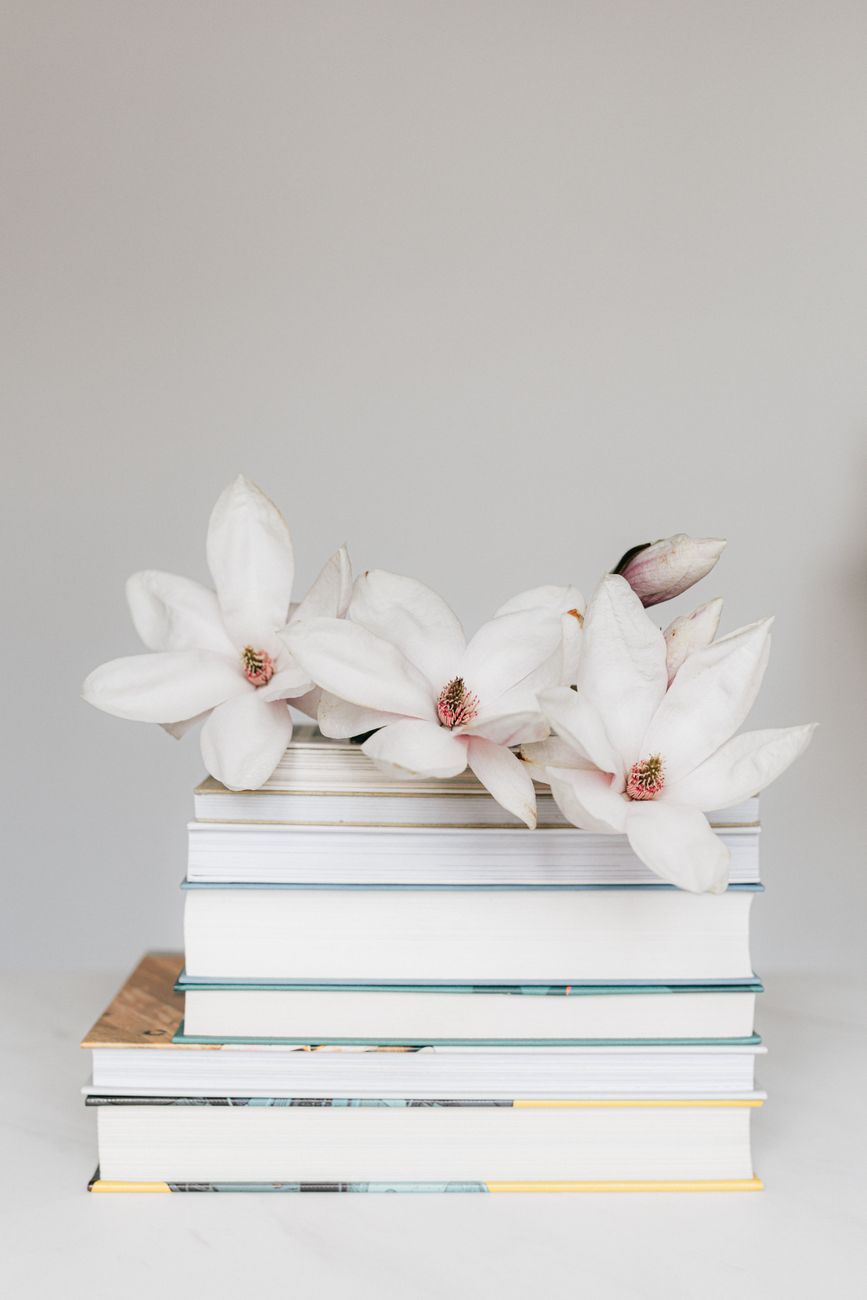 Book Recommendations: My Favorite Nonfiction Books for Self-Improvement